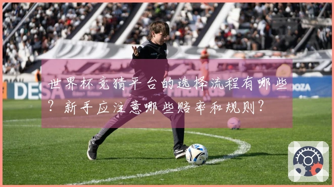 世界杯竞猜平台的选择流程有哪些？新手应注意哪些赔率和规则？