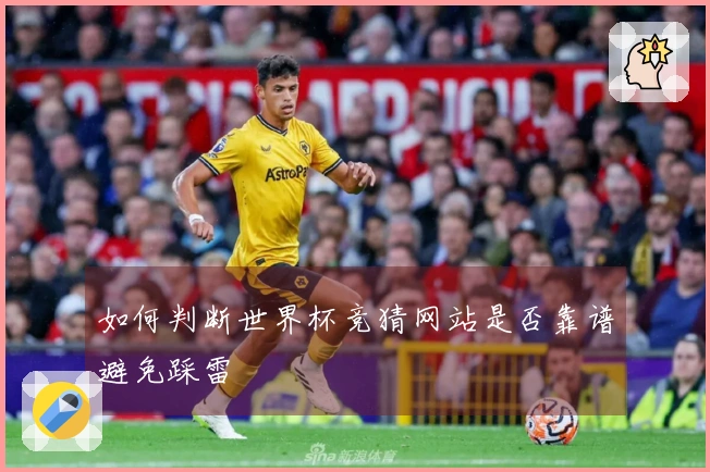 如何判断世界杯竞猜网站是否靠谱避免踩雷