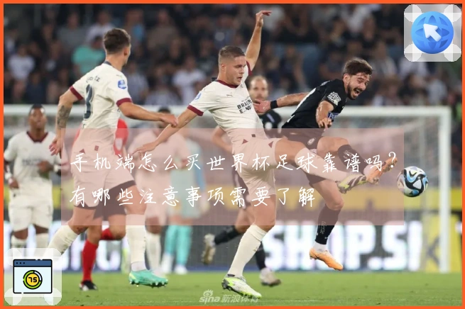 手机端怎么买世界杯足球靠谱吗？有哪些注意事项需要了解